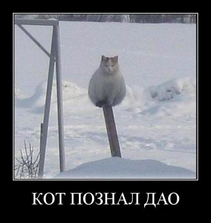 Виктор Савченко | Стерлитамак