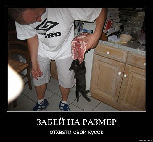 Никита Кошкин Ч.П. | Санкт-Петербург