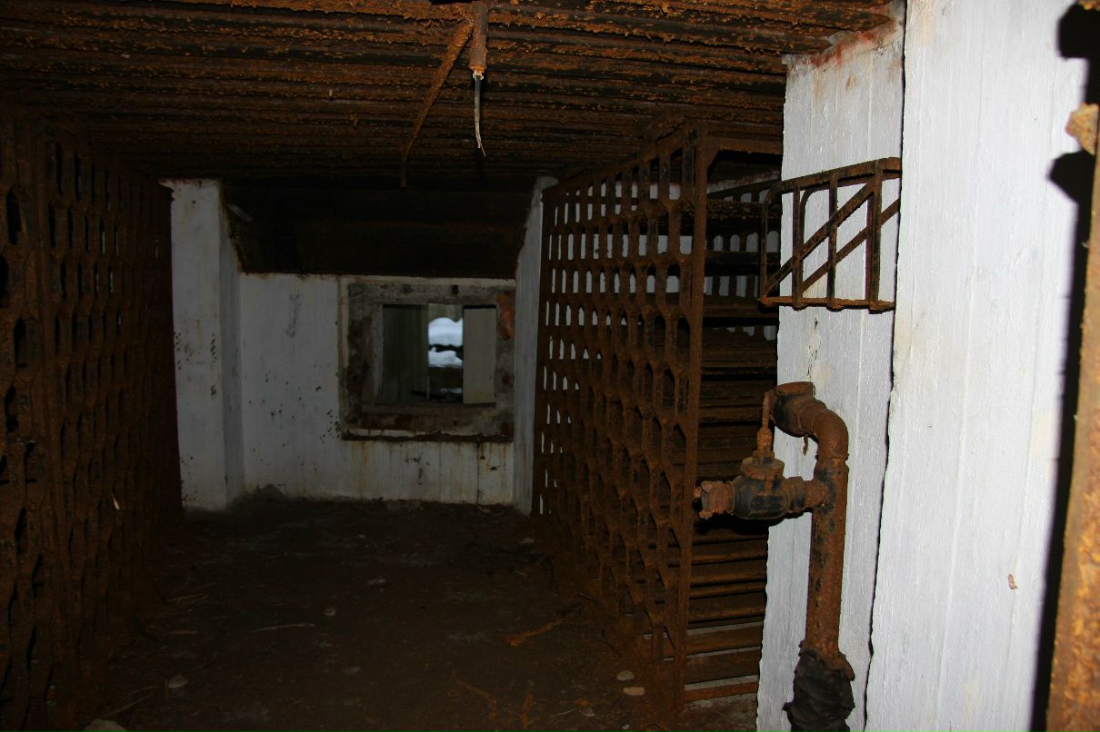 Дмитрий Паппель | Chennai