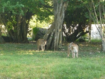 №3, Елена Вавилова, Москва №3, Елена Вавилова, Москва