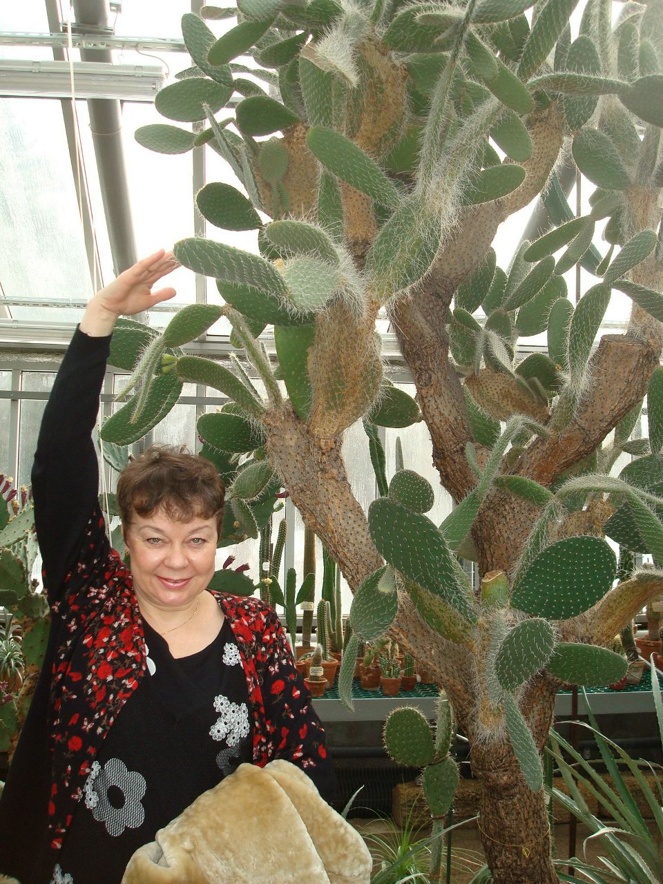 Людмила Принцева | Санкт-Петербург