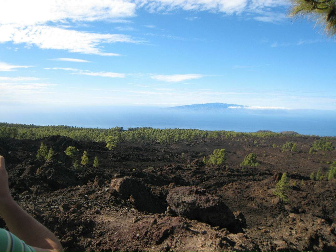 Саша Боговков | Санкт-Петербург