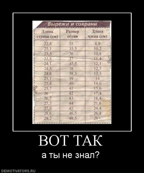 №49, Влад Гуменчук, Opole №49, Влад Гуменчук, Opole