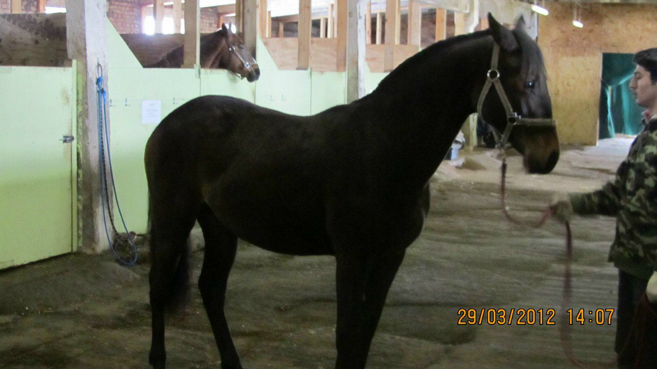 Лариса Юденкова | Санкт-Петербург