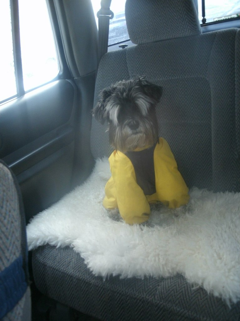 Juliay Reitano | Красноярск