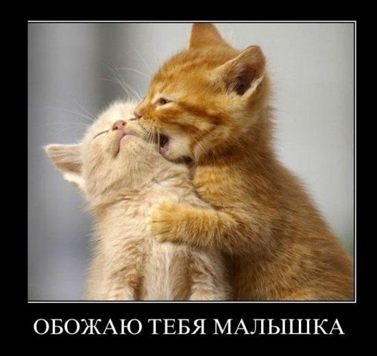 Веталь Альфа | Сургут