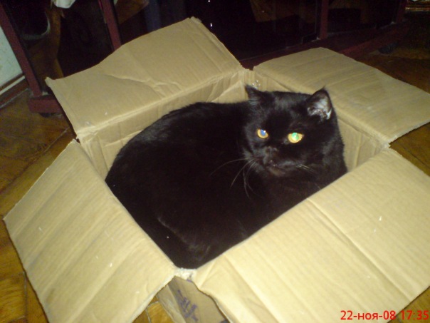 №21, Валера Крайнюк, 52 года, Харьков №21, Валера Крайнюк, 52 года, Харьков