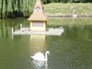 Фотография Дорофеевой Виктории
