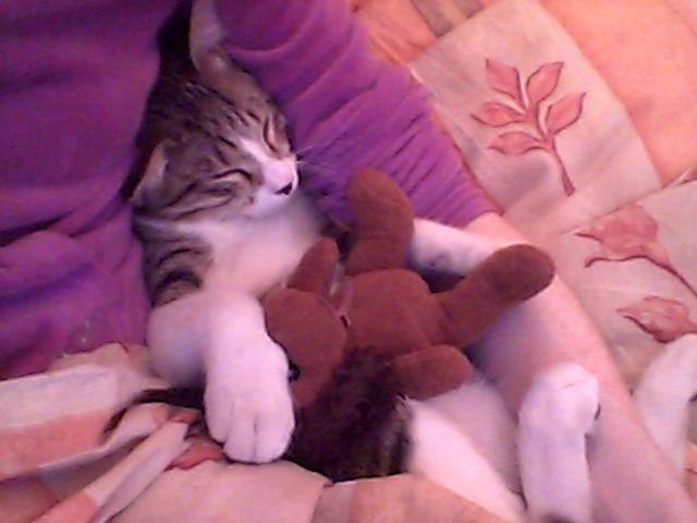 Рина-Рут Жаловская | Тель-Авив