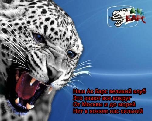 Виталий Антонов | Набережные Челны