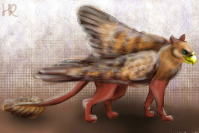 Лиза Лютая | New York City