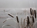 Фотография Благой Марианны