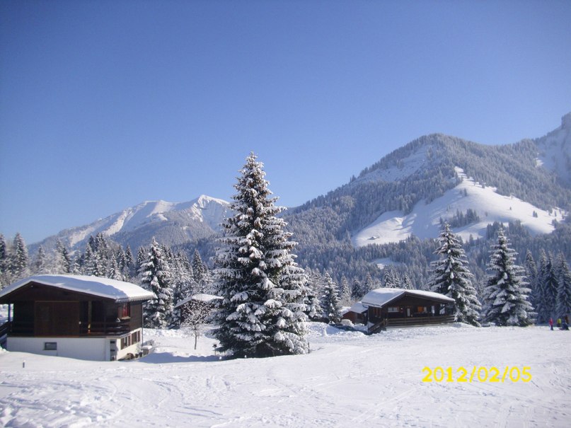 Елена Китова | Stuttgart