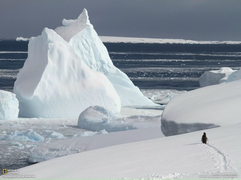 Лейла Лексоновна | Джалиль