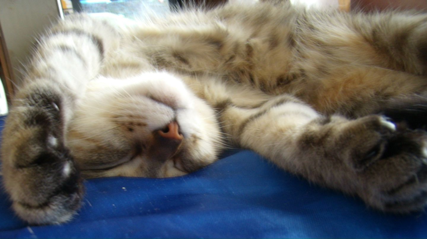 Мария Кузьменко | Киев