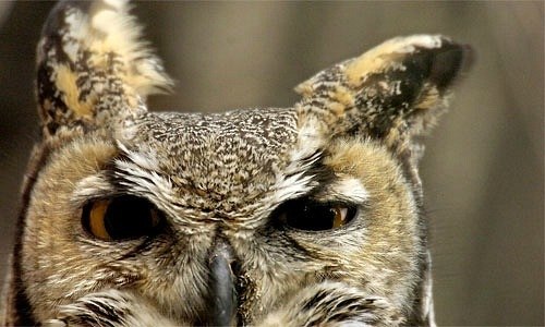 Полина Плеханова | Москва