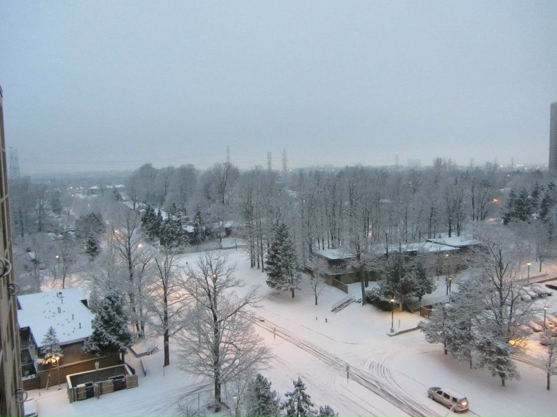 Elena Markova | Toronto