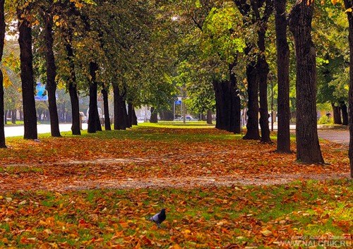 Ксения Сундиева | Нальчик