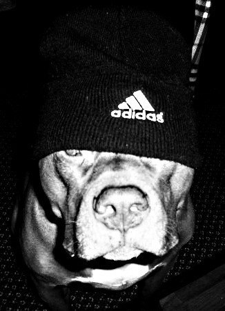 Евгения Чумаченко ツღツ | Новокузнецк