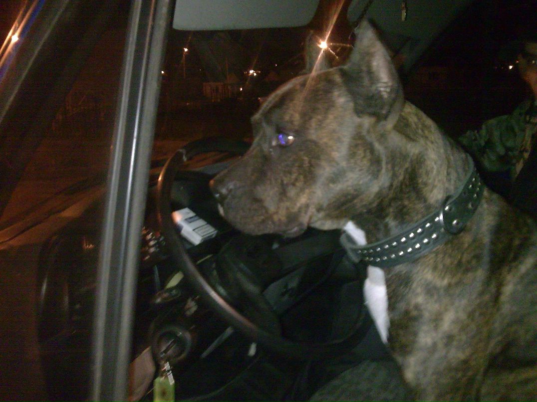 Александр Маслов Николаевич | Белгород