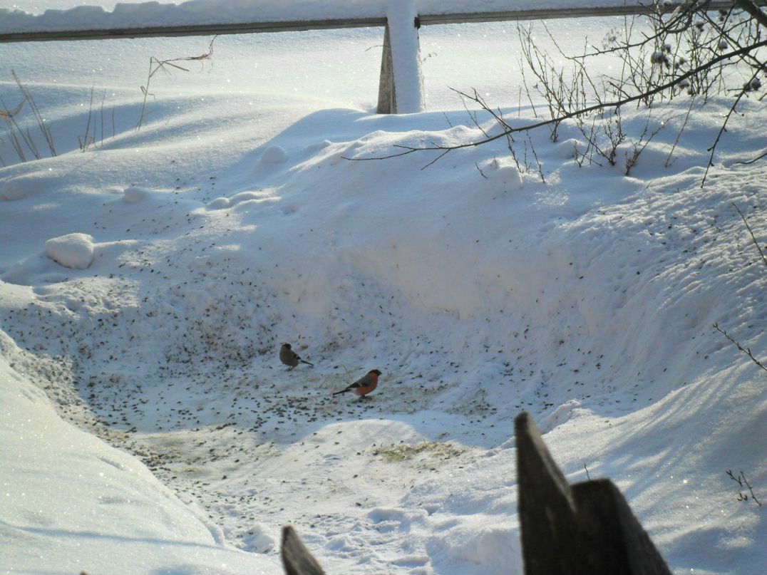 Александр Капитанов | Тургошь