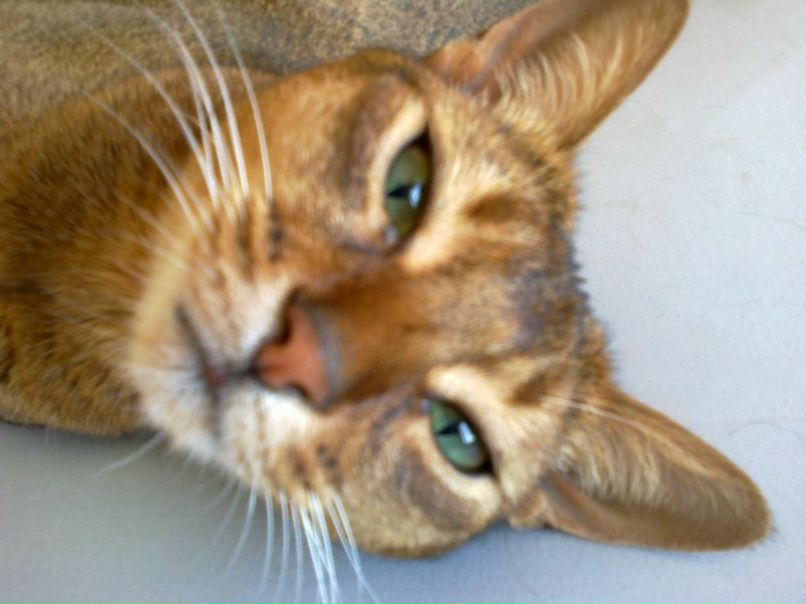 Юлия Малюта | Кропивницкий / Кировоград