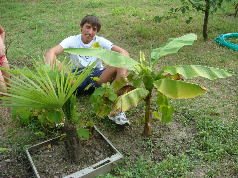 Алеша Зорин | Москва