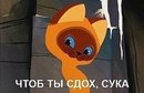 Фотография Меркушева Павла