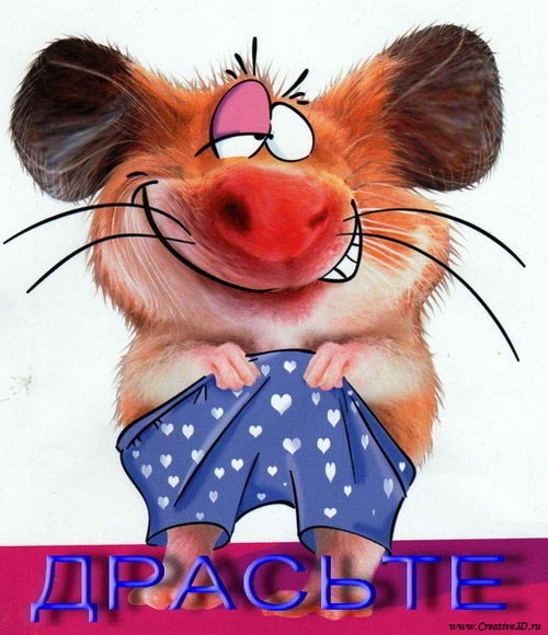 Любовь Макаренко | Санкт-Петербург