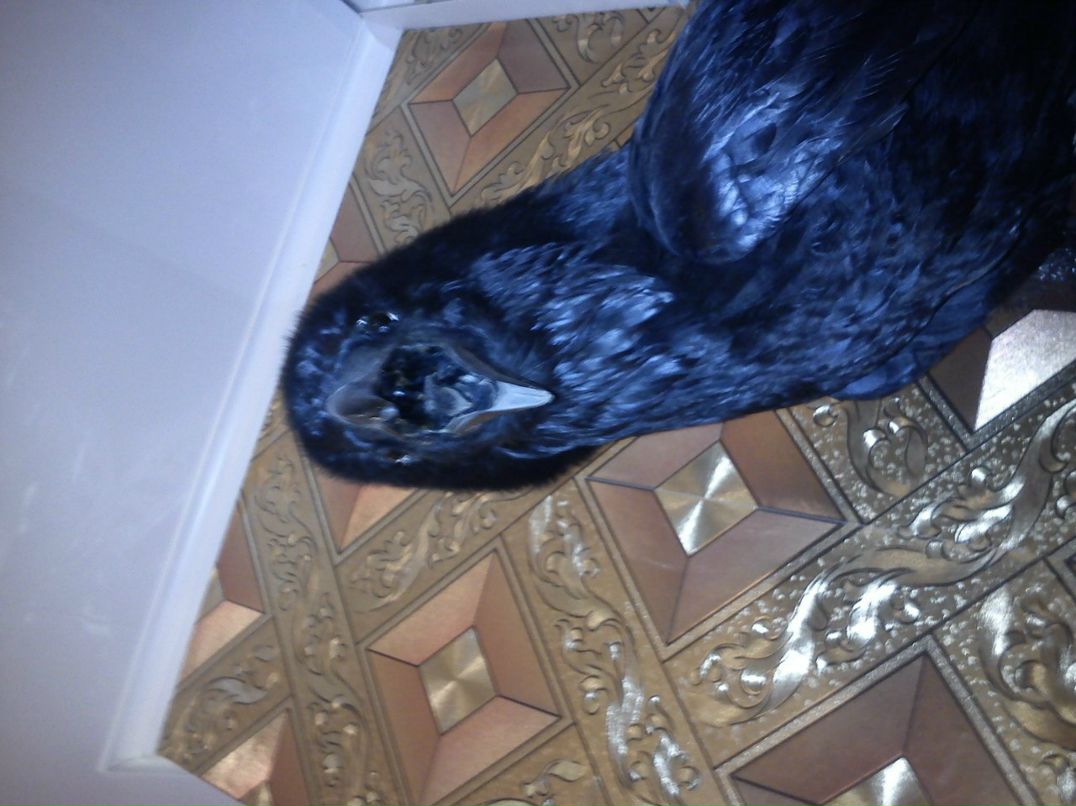 Екатерина Бубнова | Тула