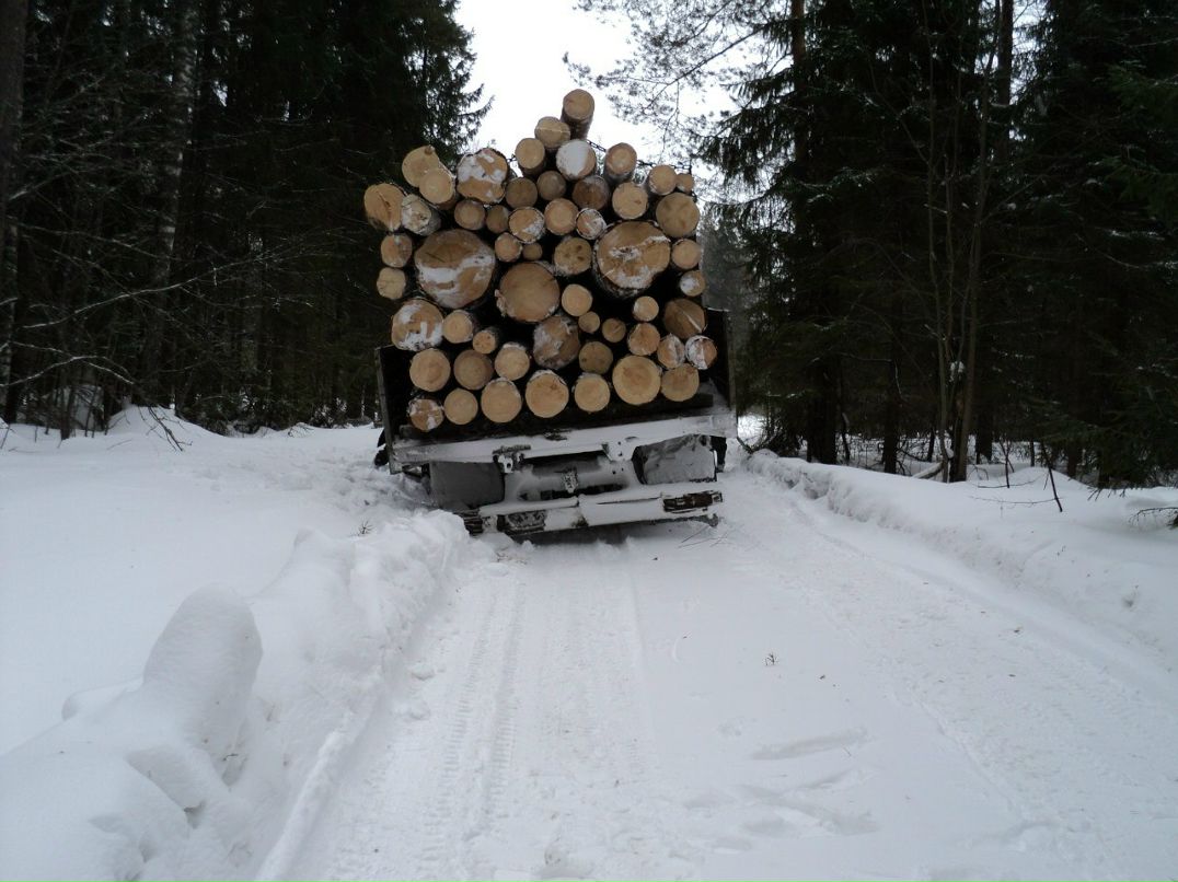 Павел Жаркофф | Санкт-Петербург