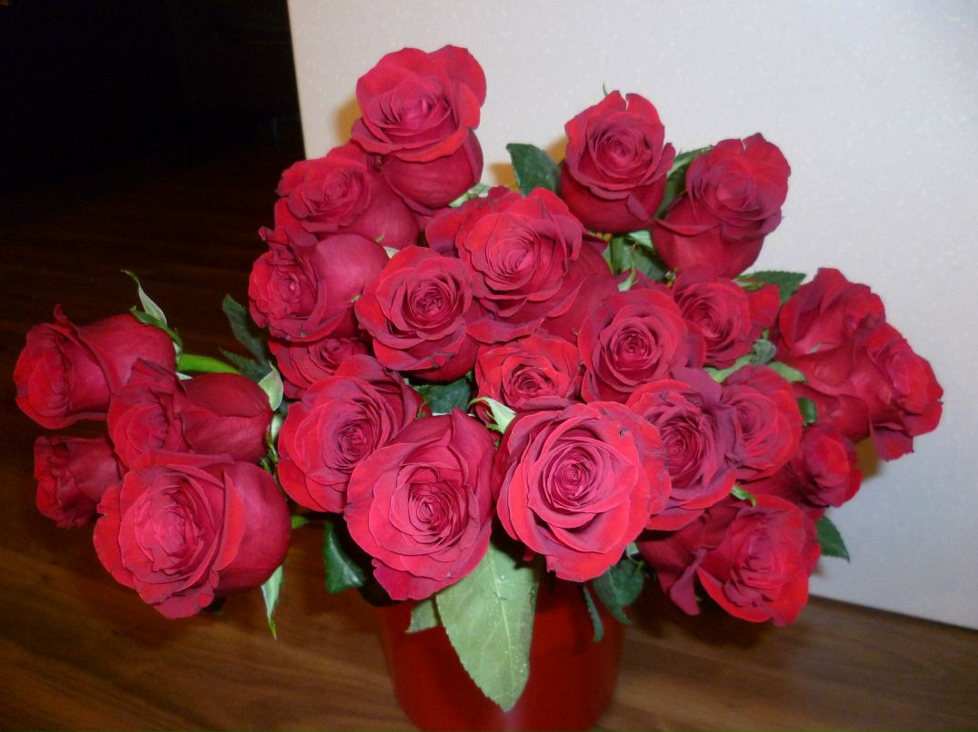 Нина Аминова | Барнаул