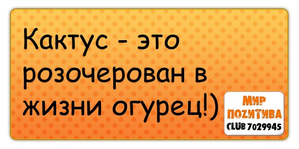 Александр Палашков | Улан-Удэ