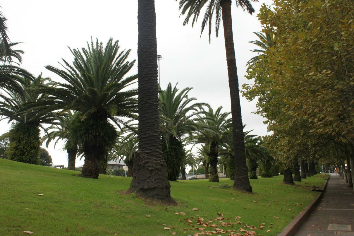 Наталия Stronger | Киев