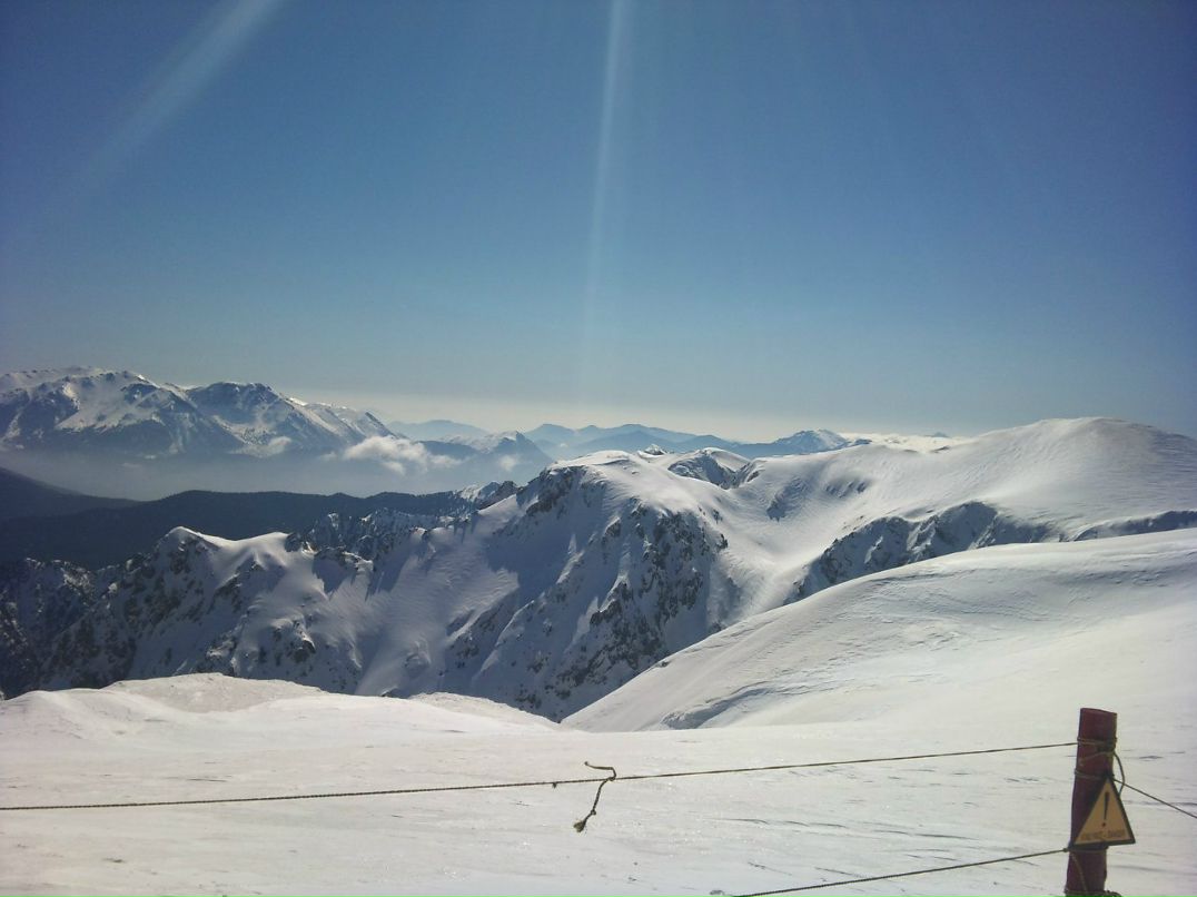 Dimitris Tsangalidis | Athens