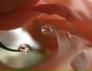 Фотография Екатерина Карелина
