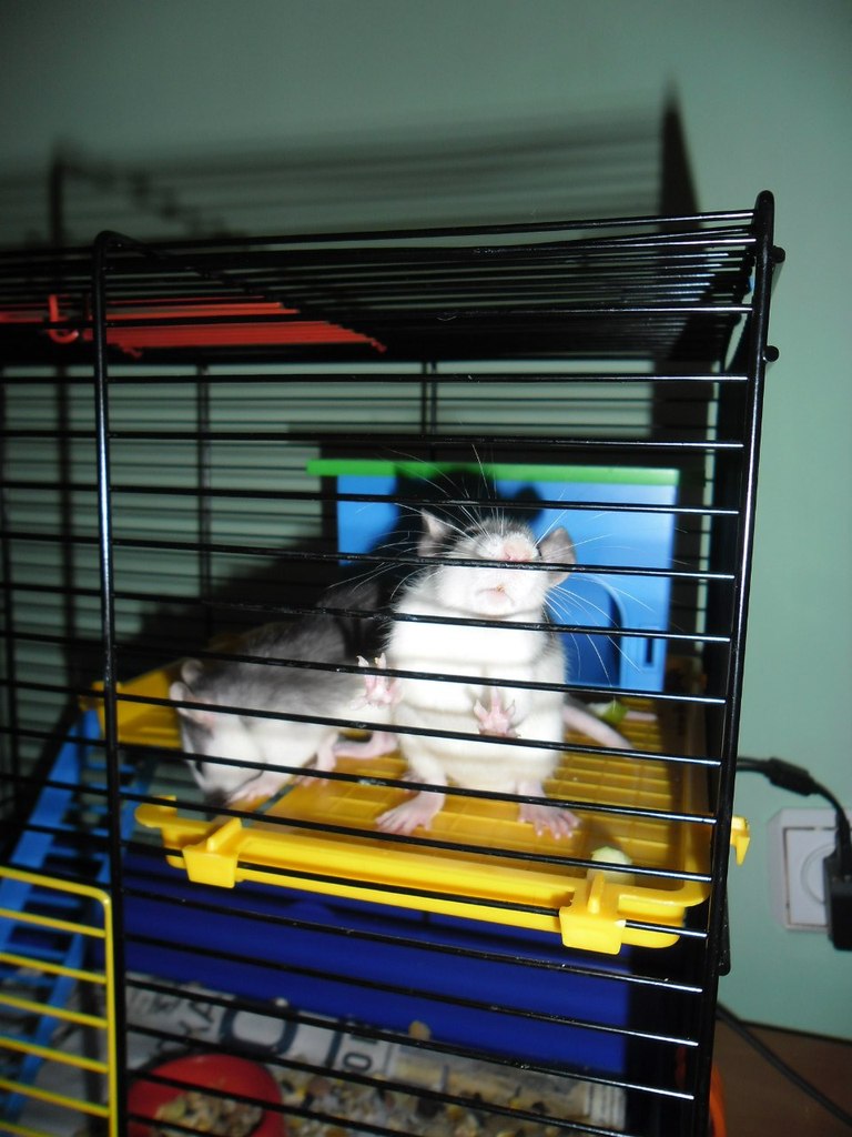 Марина Снигирева | Коммунар (поселок)