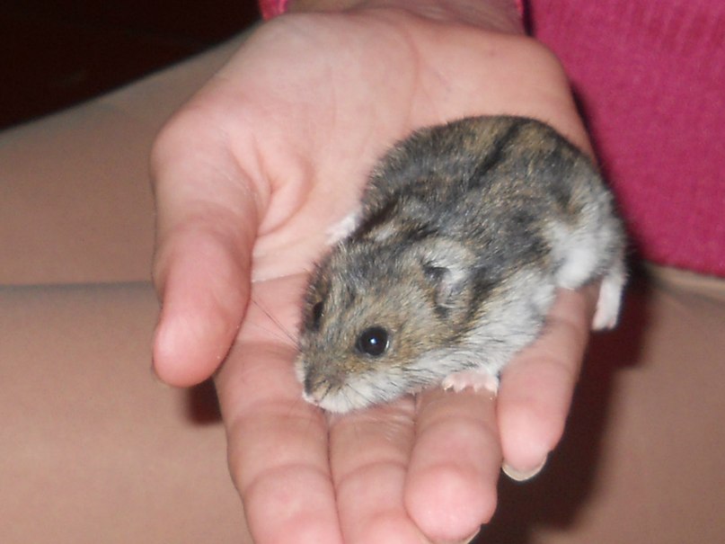 Кристина Гончарова Сергеевна | Кривой Рог