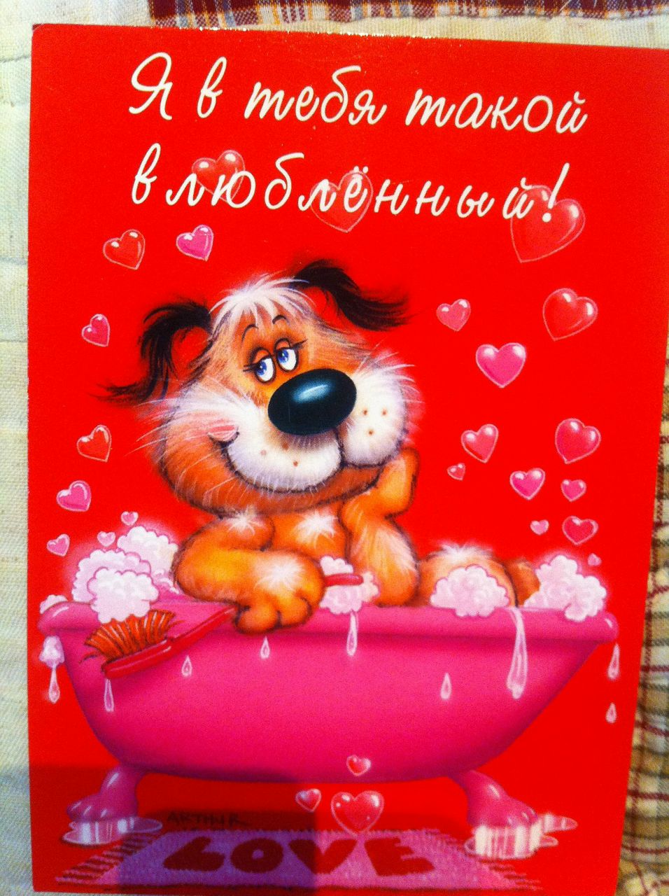 Евгения Гильде | Санкт-Петербург