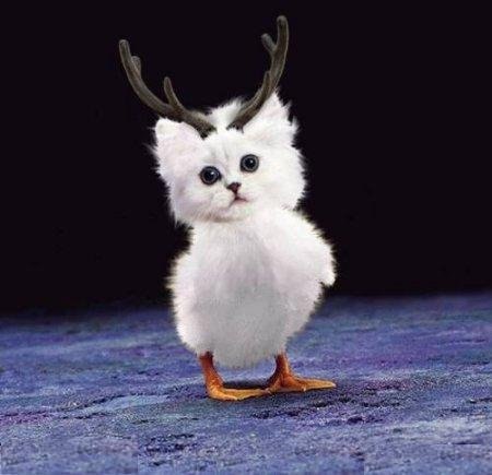 №100, Светлана Тюхай №100, Светлана Тюхай