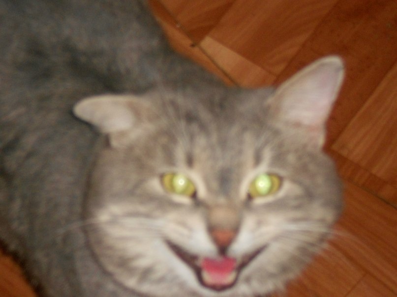 Елена Шумская | Уфа