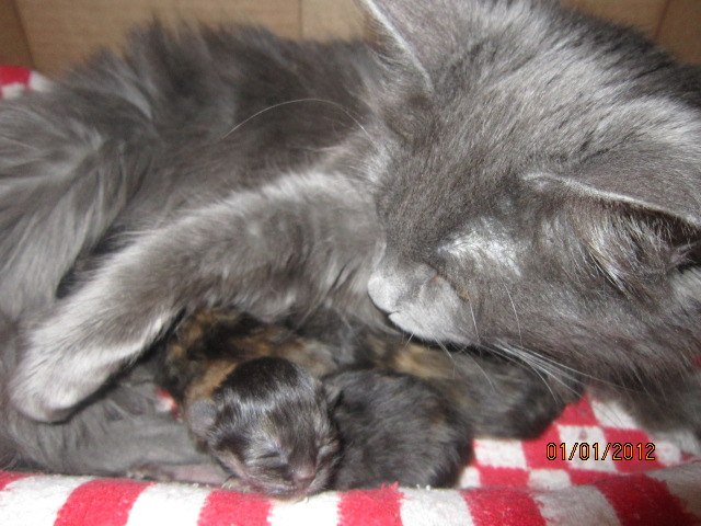 Александр Селиверстов | Калуга