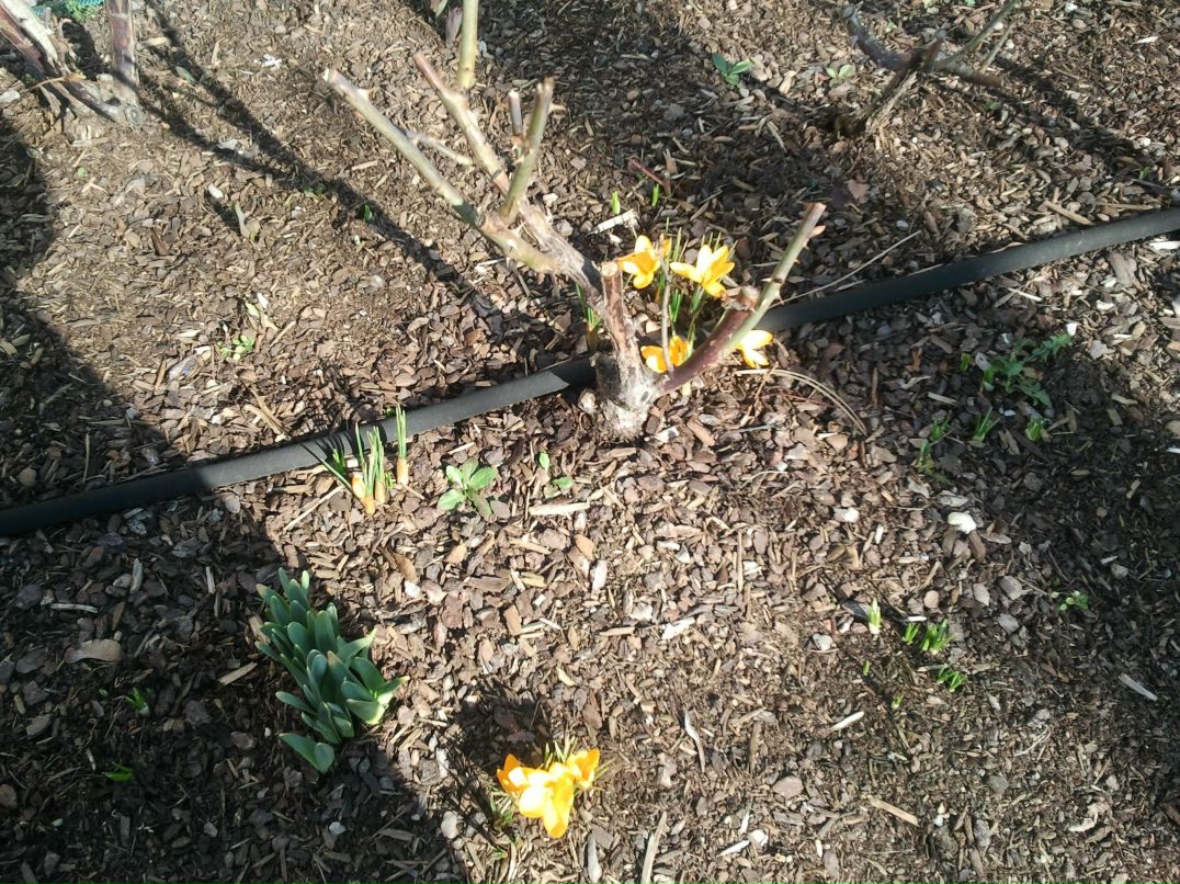 Екатерина Авербах | Stuttgart