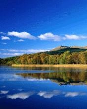 №5, Анатолий Дудов №5, Анатолий Дудов