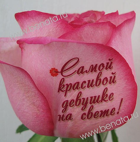 Artur Белов ***падший ангел*** | Харьков