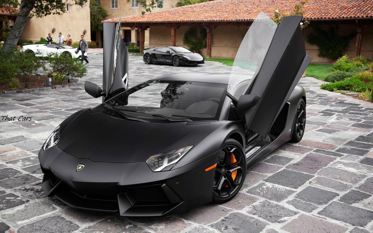 Тарас Пікулицький | Львов