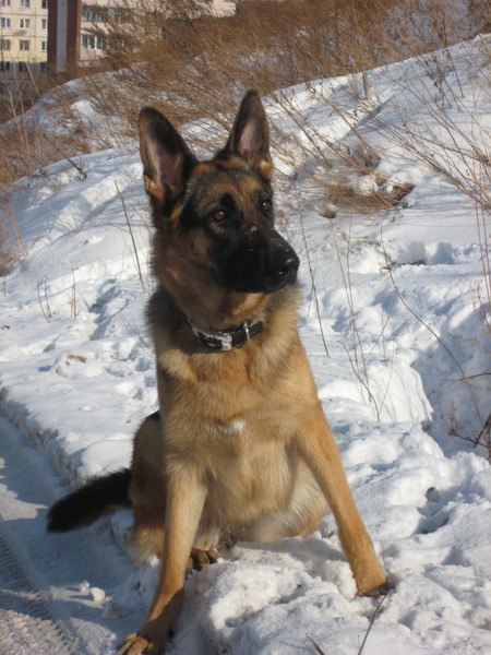 Вера Калунина | Красноярск