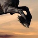 №93, Эшгин Рзаев, 40 лет, Москва №93, Эшгин Рзаев, 40 лет, Москва