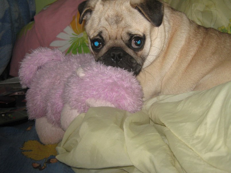 Анна Македонская | Симферополь