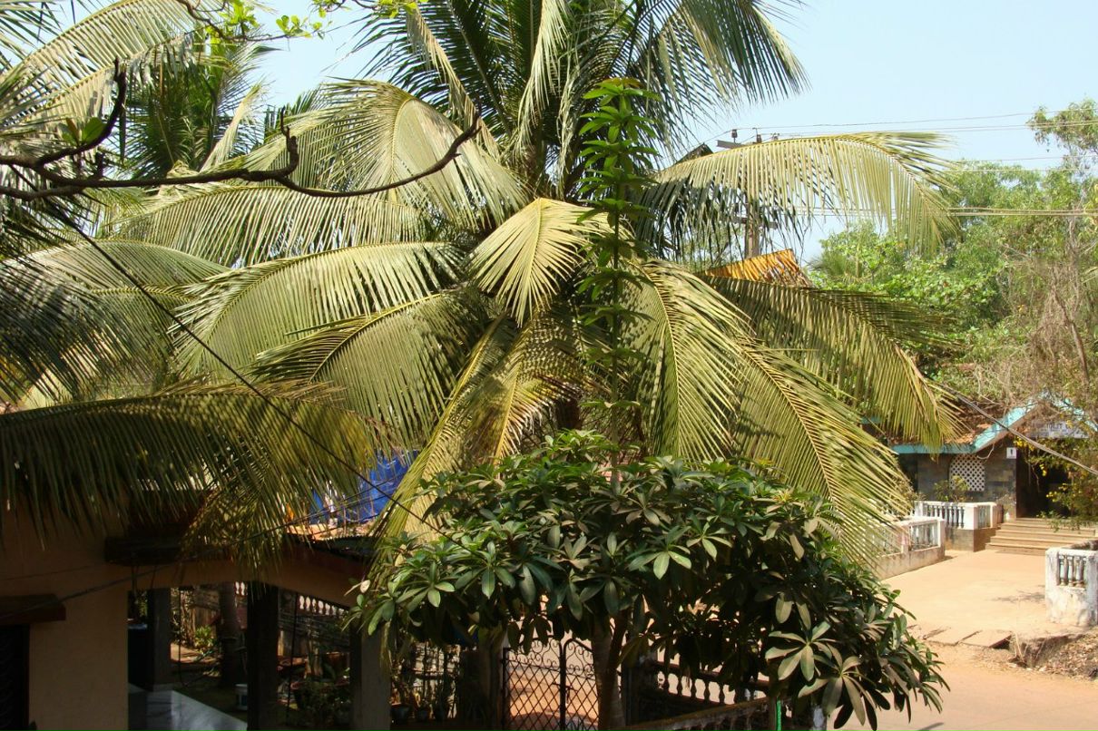 Татьяна Полякова | Рязань